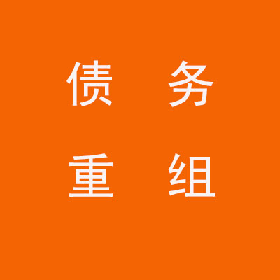 南明个人债务重组优化